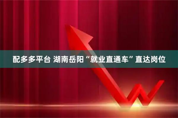 配多多平台 湖南岳阳“就业直通车”直达岗位