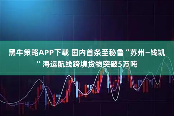 黑牛策略APP下载 国内首条至秘鲁“苏州—钱凯”海运航线跨境货物突破5万吨