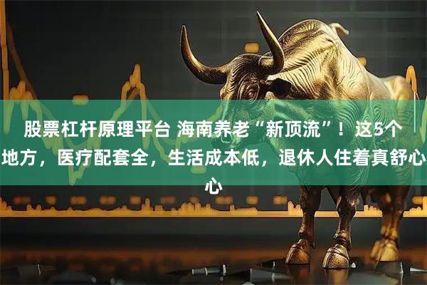 股票杠杆原理平台 海南养老“新顶流”!这5个地方,医疗配套全,生活成本低,退休人住着真舒心