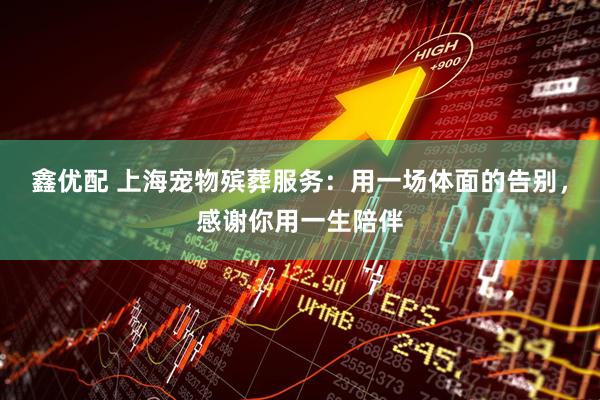 鑫优配 上海宠物殡葬服务：用一场体面的告别，感谢你用一生陪伴